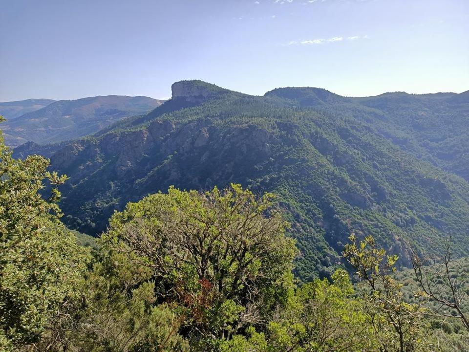 Sa Stiddiosa Guesthouse Gadoni Bagian luar foto