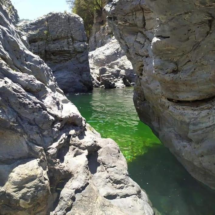 Sa Stiddiosa Guesthouse Gadoni Bagian luar foto