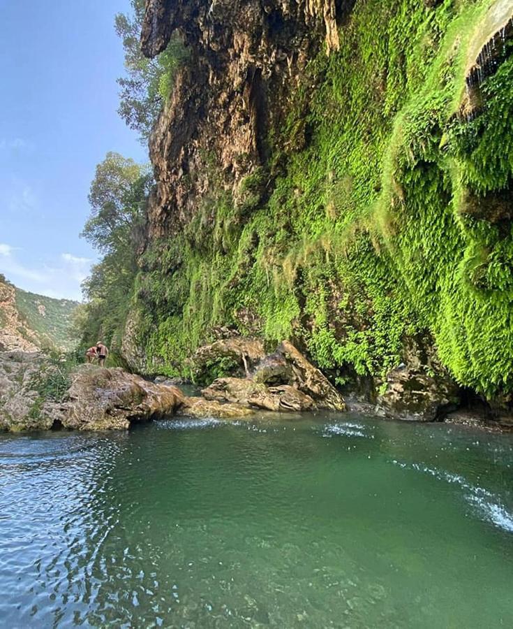Sa Stiddiosa Guesthouse Gadoni Bagian luar foto