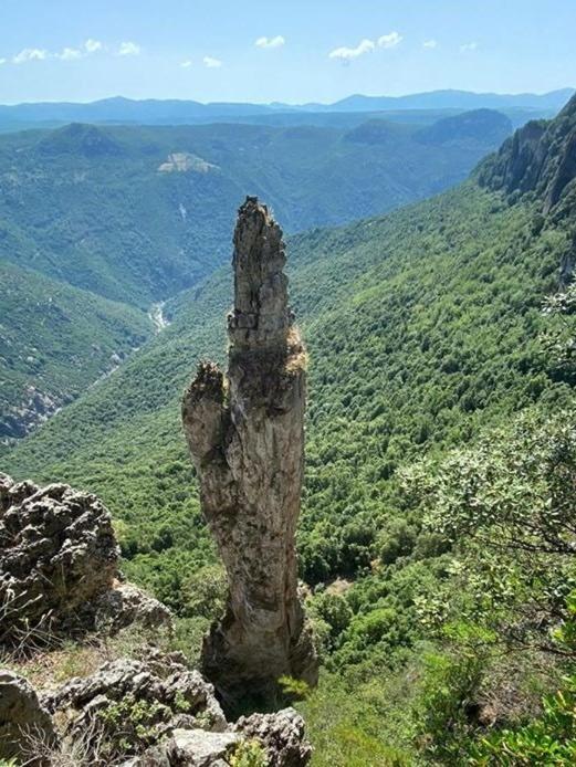 Sa Stiddiosa Guesthouse Gadoni Bagian luar foto