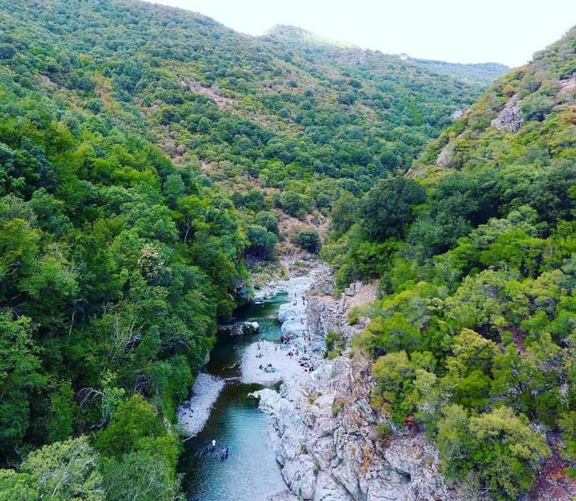 Sa Stiddiosa Guesthouse Gadoni Bagian luar foto