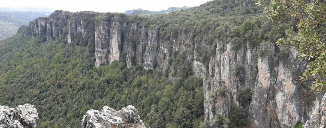 Sa Stiddiosa Guesthouse Gadoni Bagian luar foto